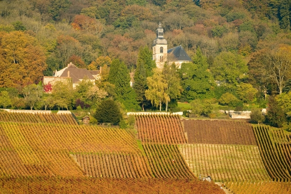 Abbaye d'Hautvillers – Coteaux historiques
