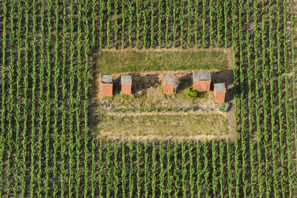 Essors, cheminées d'aération dans le vignoble – Coteaux historiques – Aÿ