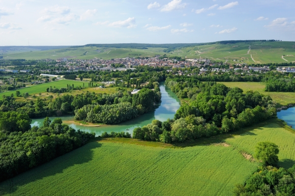 Éventail de vignes – Coteaux historiques – Aÿ