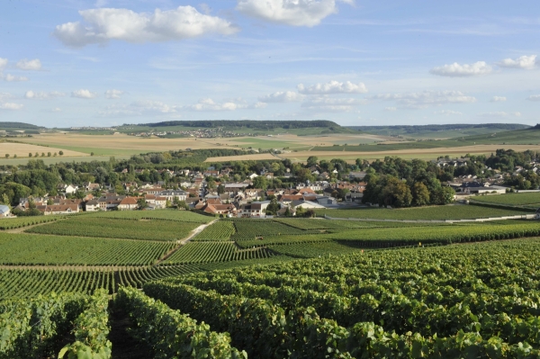 Coteaux et village de Pierry, zone d'engagement