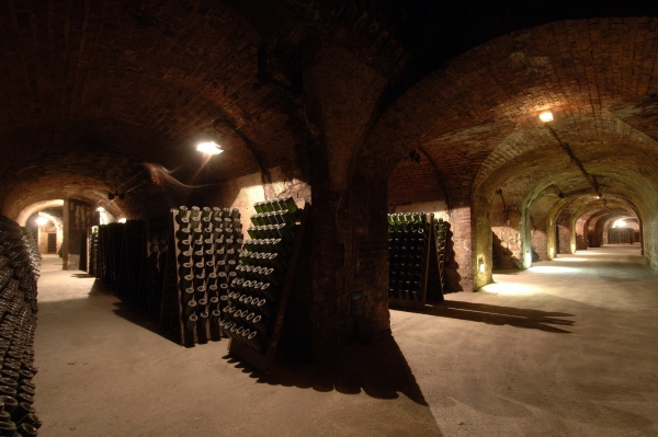 Caves de l'avenue de Champagne, Épernay