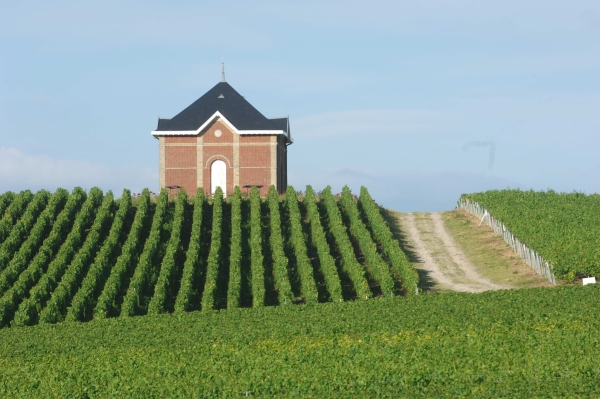 Loge du Mont Aigu, Cote des Blancs, zone d'engagement